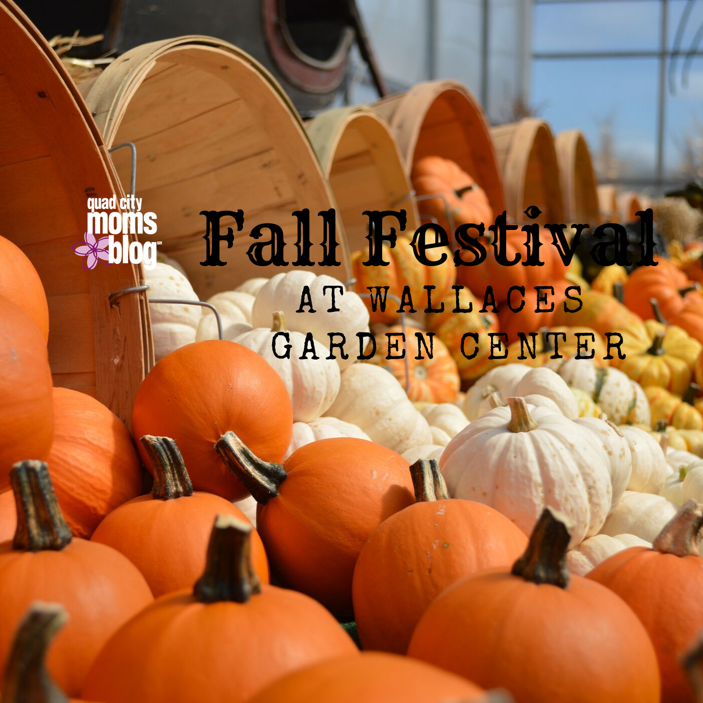 October Events in the Quad Cities