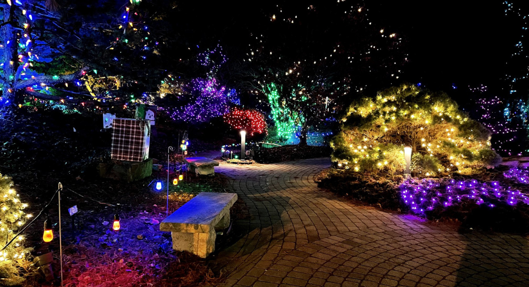 Winter Nights Winter Lights at the QC Botanical Center November 17