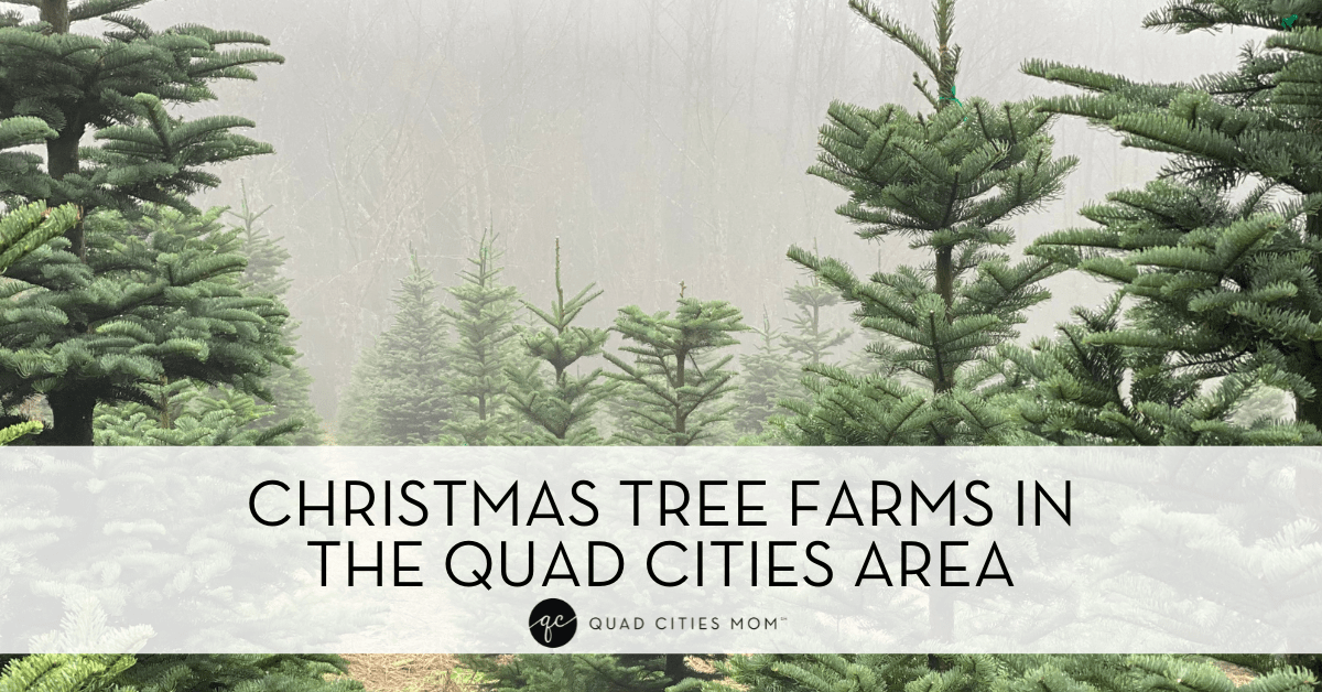 Christmas Tree Farms In & Around the Quad Cities
