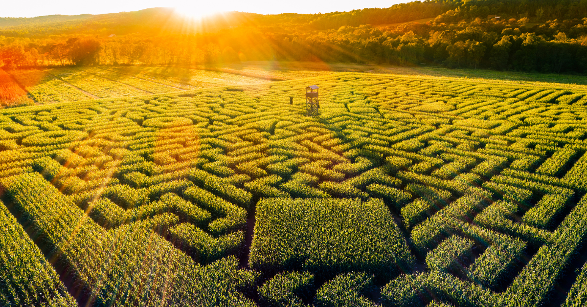 Corn Mazes to Visit this Fall In & Around the Quad Cities