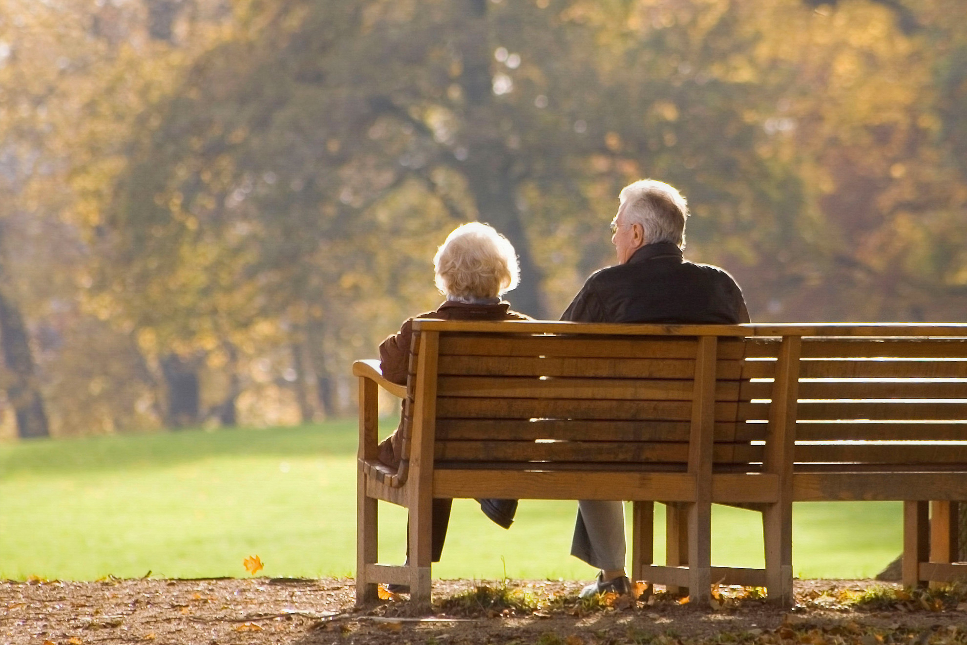 Qualified Domestic Relations Order 401k IRA QDRO Masters