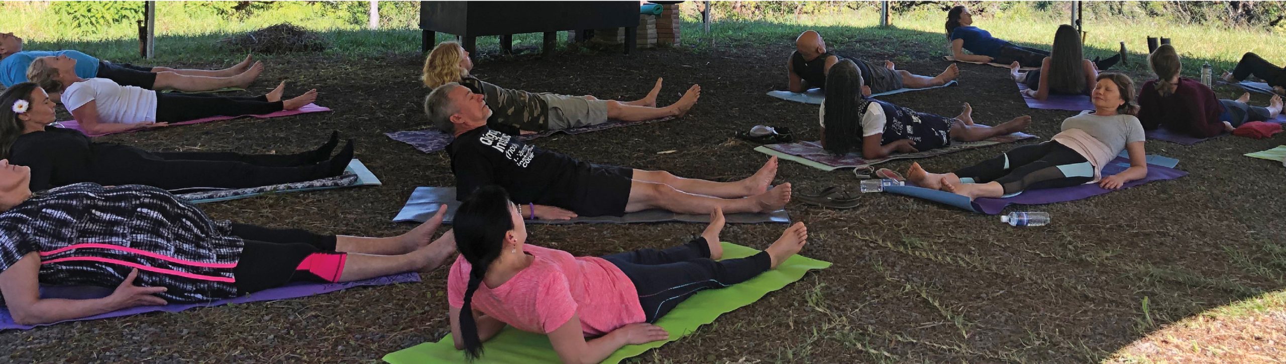 Supreme Science Qigong and Food Based Healing