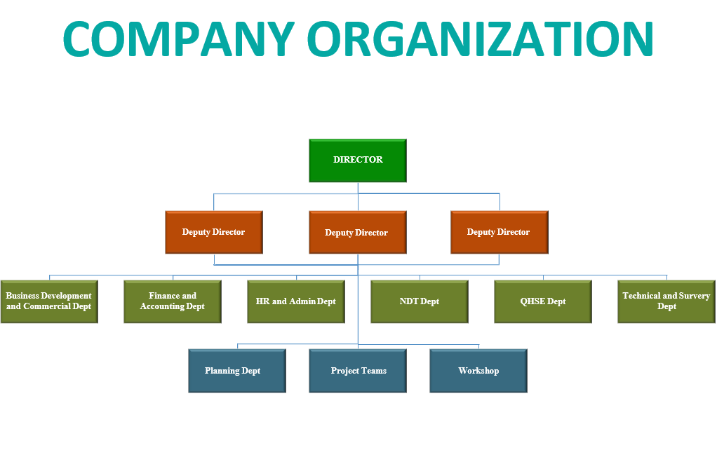 COMPANY ORGANIZATION
