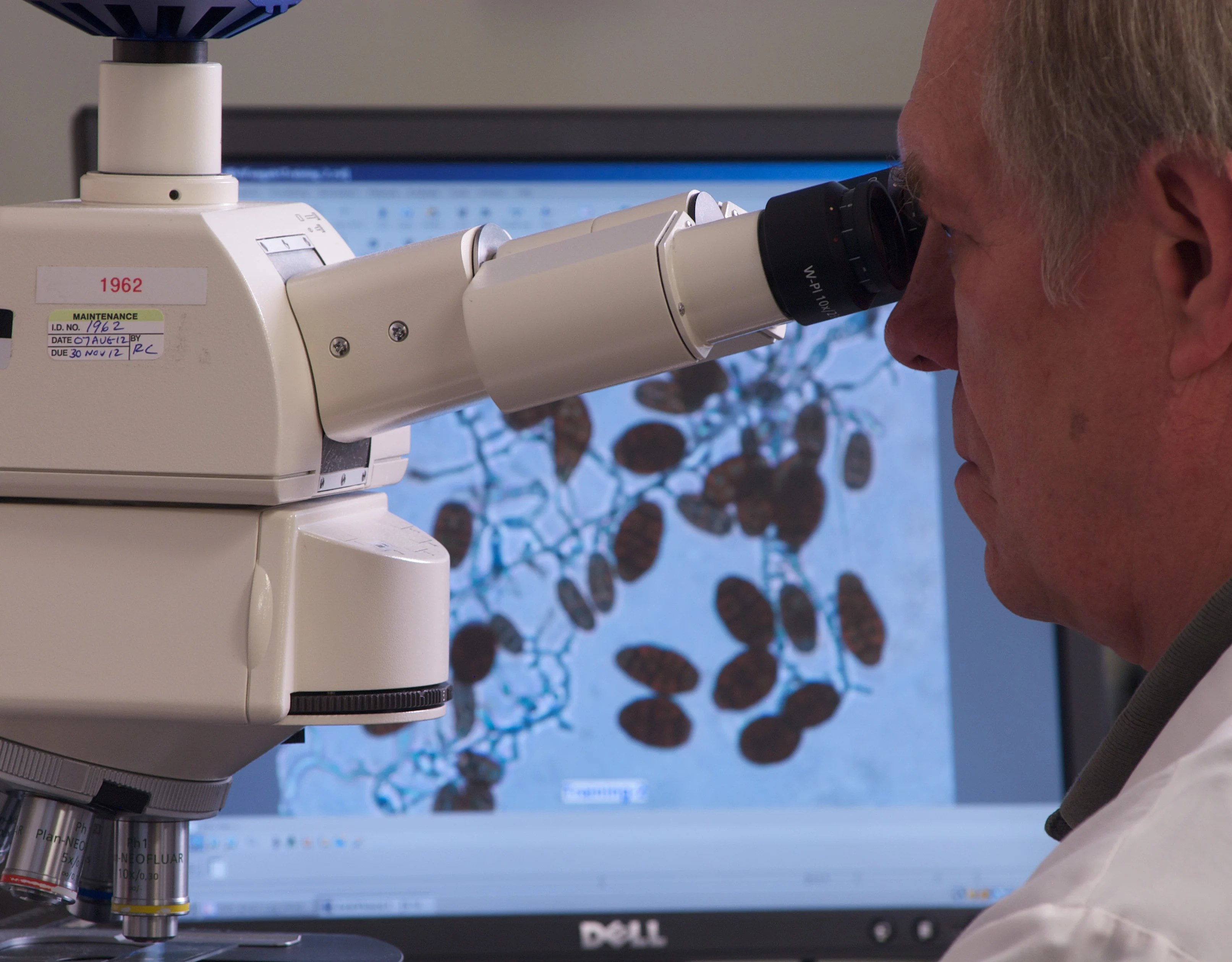 Nelson Laboratories, LLC Medical Device Supplier Directory Qmed+