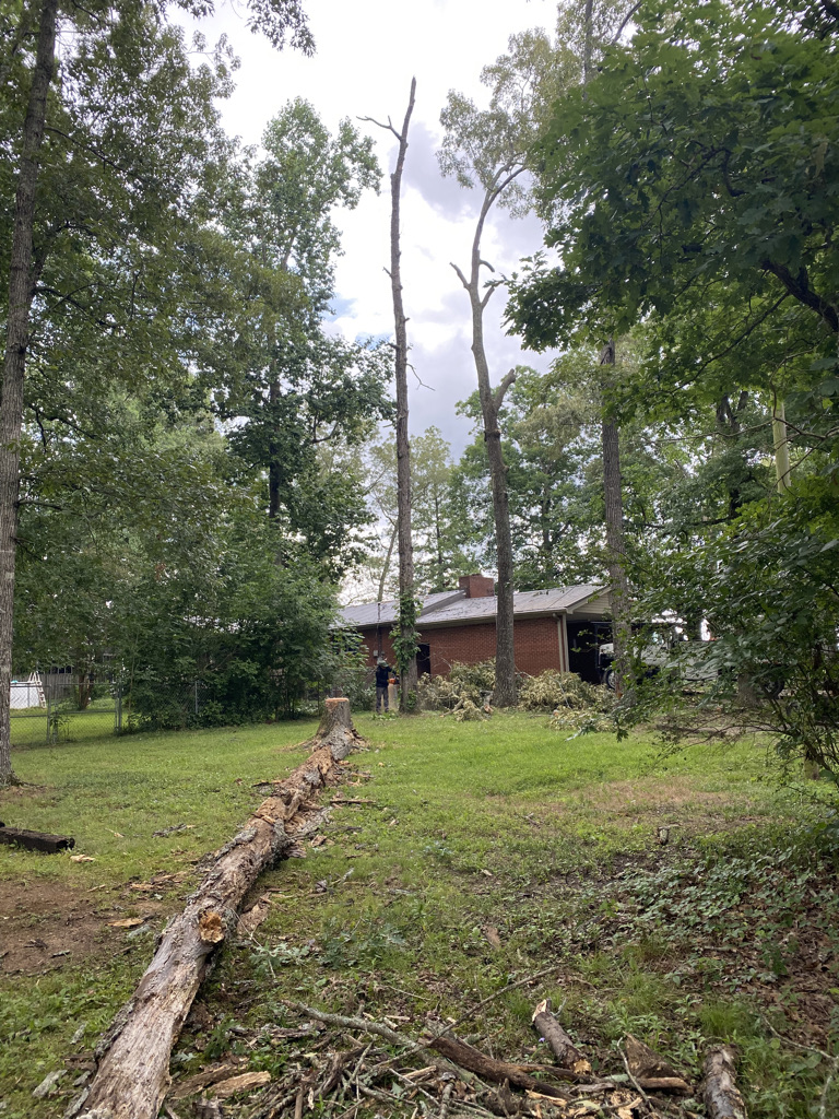 In Dalton Q&M Tree & Lawn Service