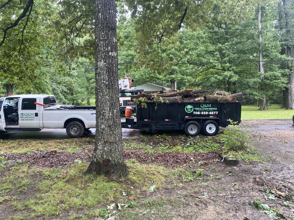 In Dalton Q&M Tree & Lawn Service