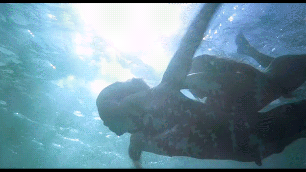 NSFW! 80s nude heartthrob Christopher Atkins