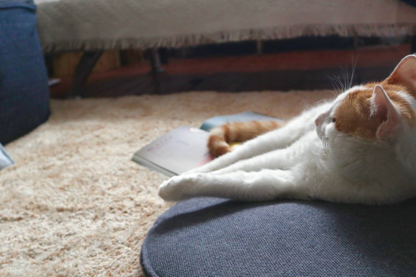 BeijingHaidianLine 13Long & Short TermLGBTQ FriendlyShared