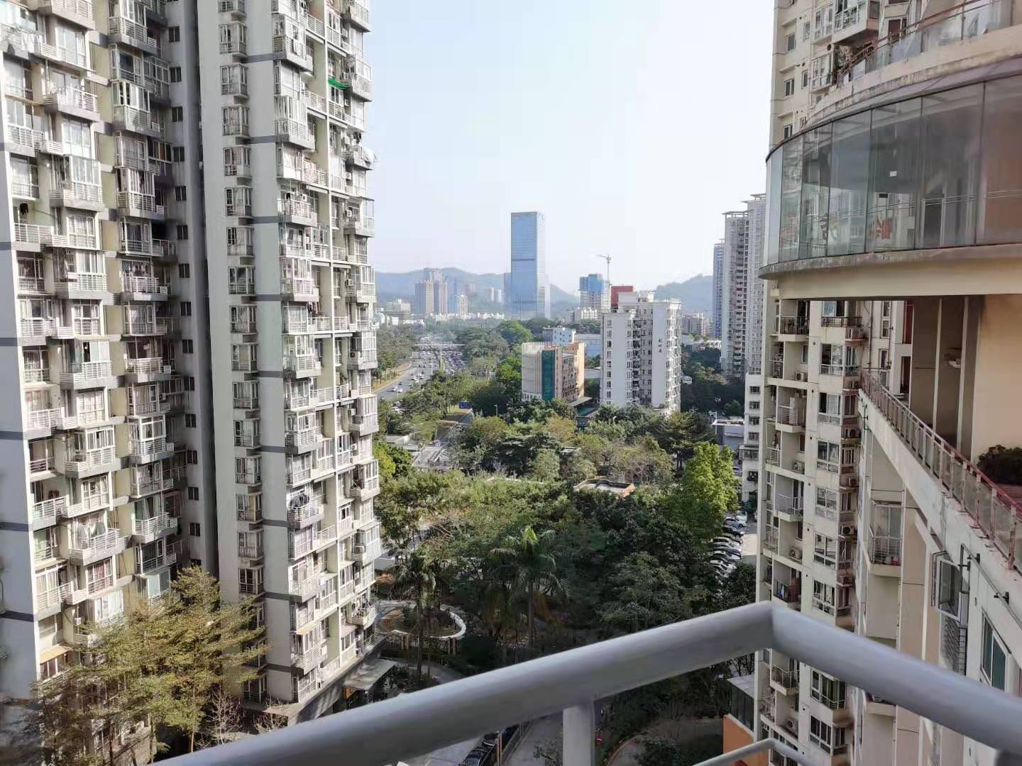 ShenzhenFutianReplacementSingle ApartmentPet Friendly