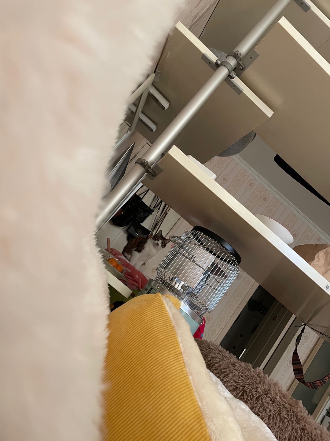 HangzhouYuhangLong & Short TermSingle ApartmentPet Friendly