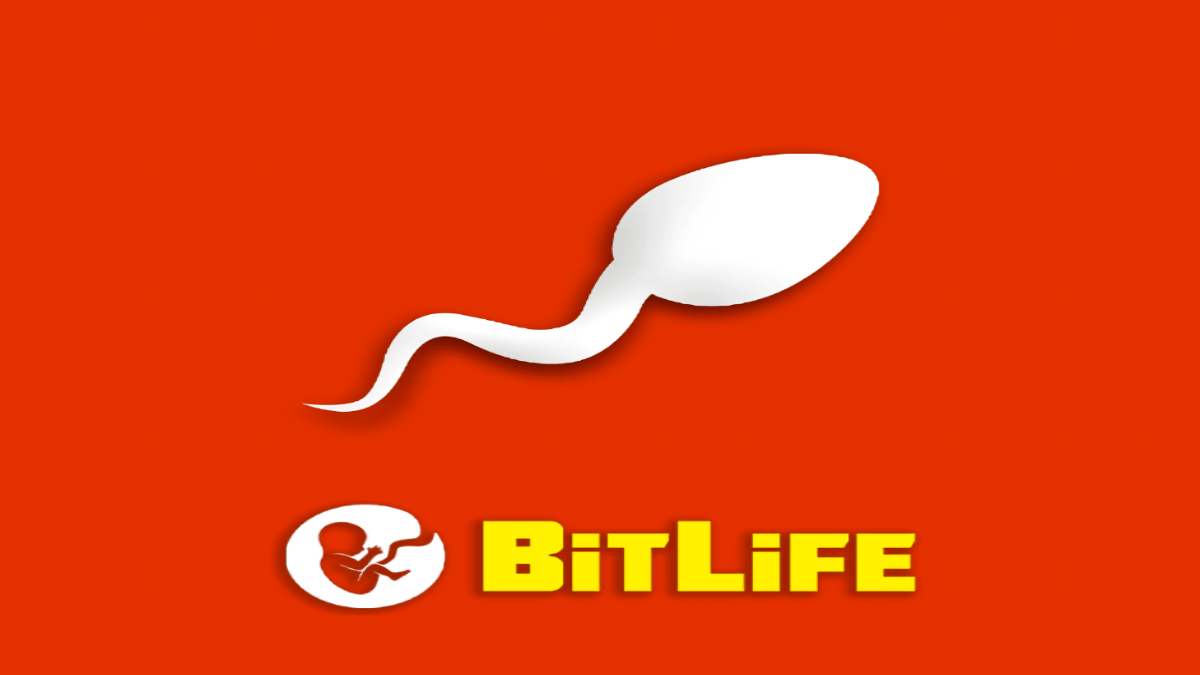 All Boating License Test Answers in Bitlife (UPDATED) [March 2024] Qnnit