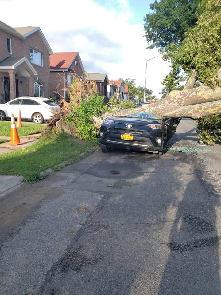 Tornado hits Whitestone and College Point, leaving fallen trees, power