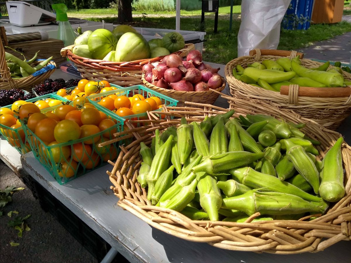 Queens Farm produce stand reopens at Jamaica Hospital on Friday QNS