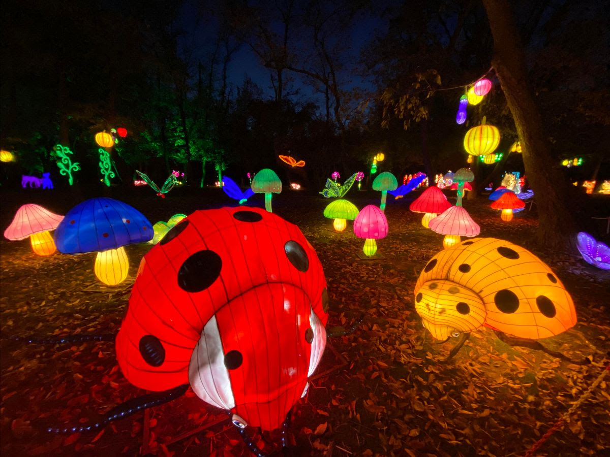 Seasonal lantern festival to light up Queens Farm starting on Thanksgiving QNS