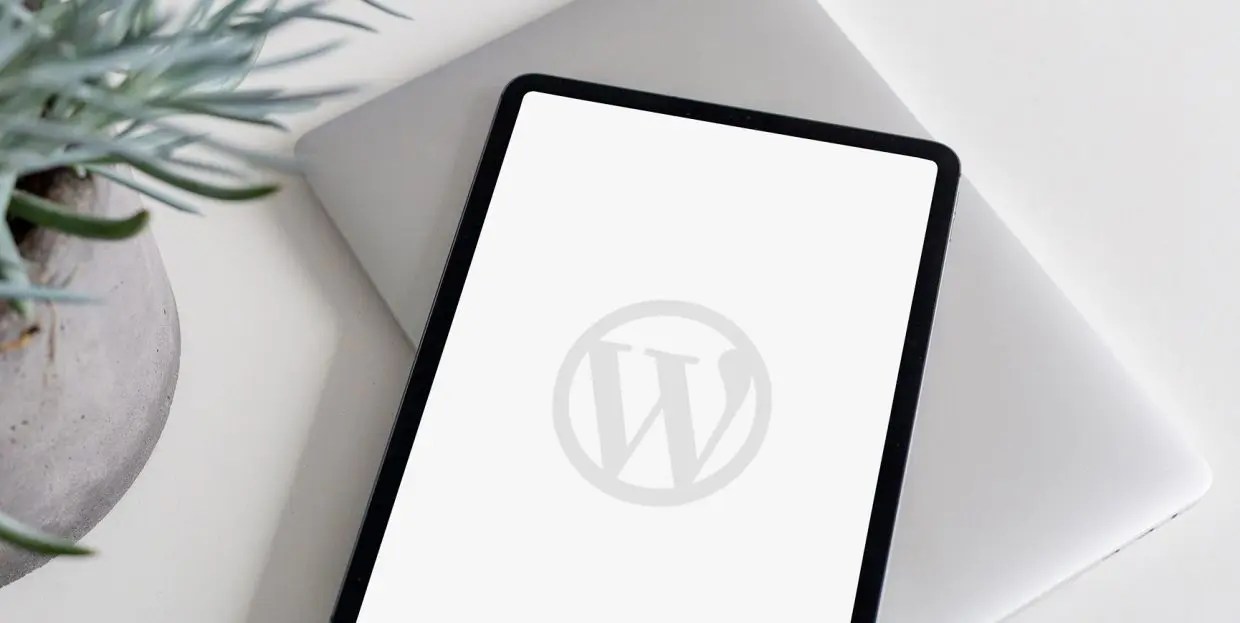 How to Add Custom Meta Boxes in WordPress Qode Interactive
