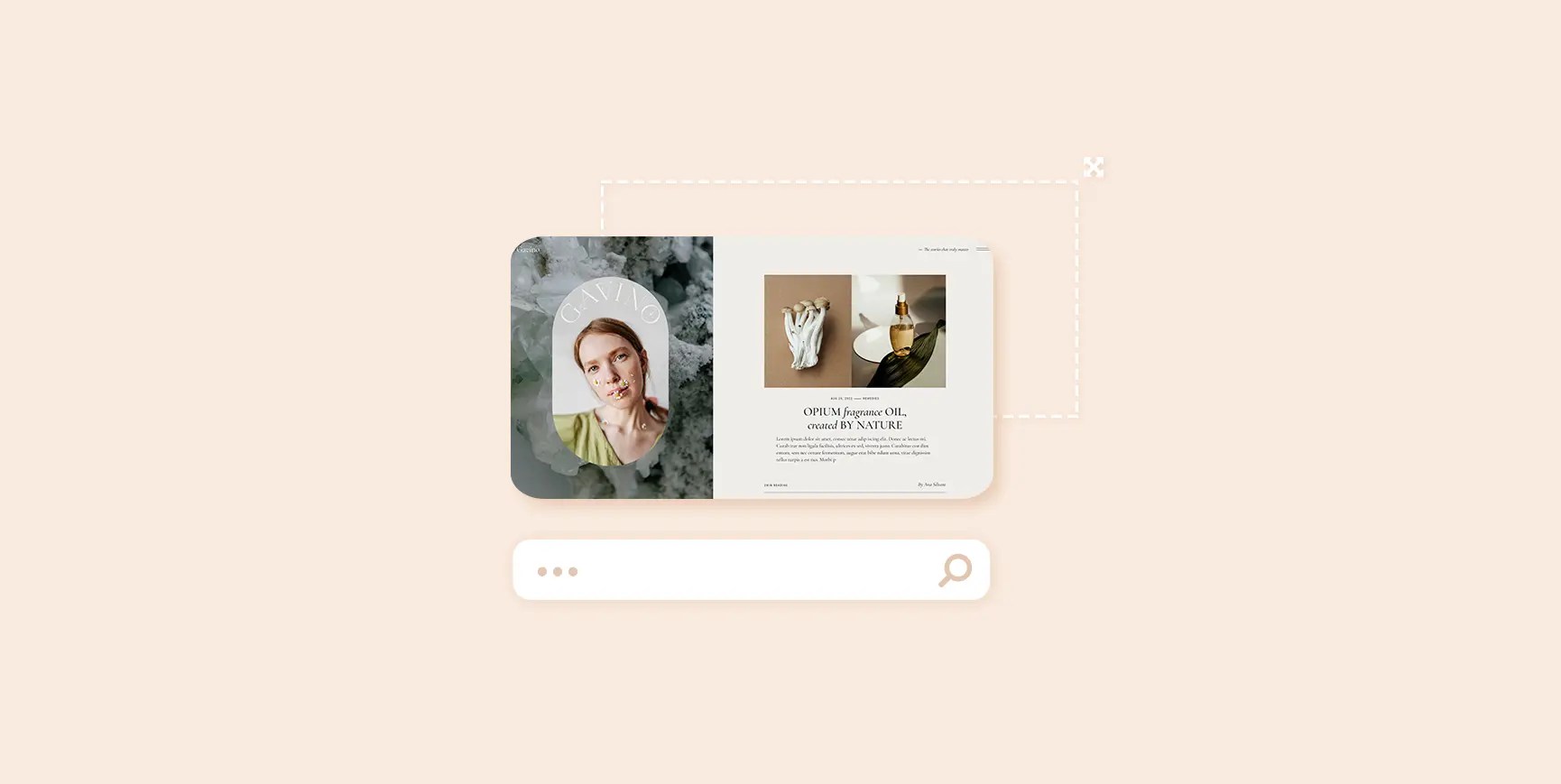 How to Add WordPress Search Feature Qode Interactive