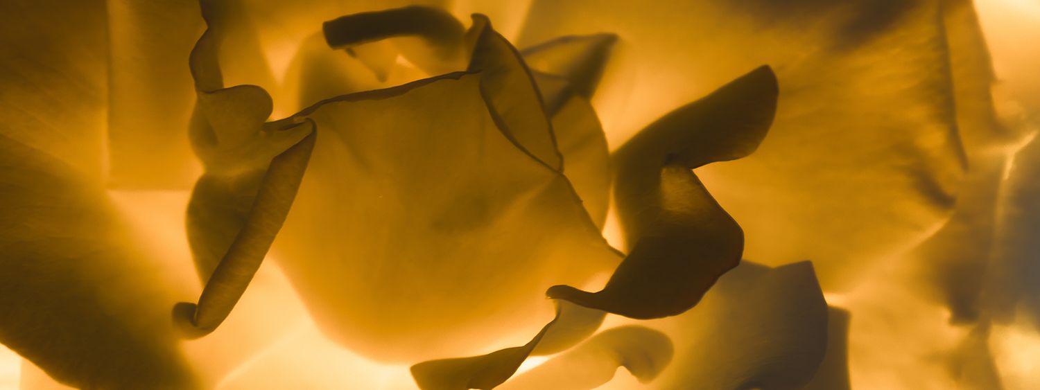 AXA XL launches new cyber insurance for Generative AI risks