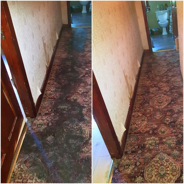 Are there any types of carpets that are especially difficult to clean? Quora