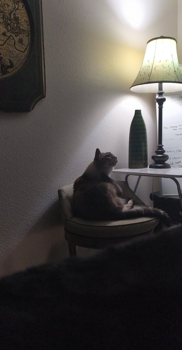 How to explain to my cat that he can't sleep on my bed anymore and must