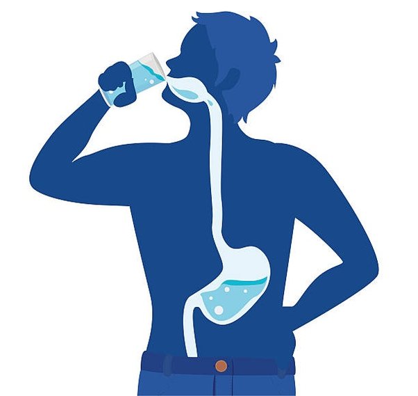 How long does it take a gulp of water to go from your lips to your