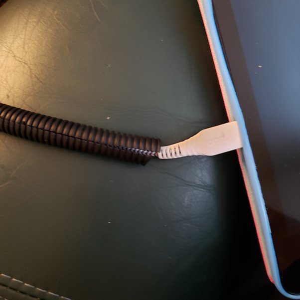 How To Keep Your Dog From Chewing Wires