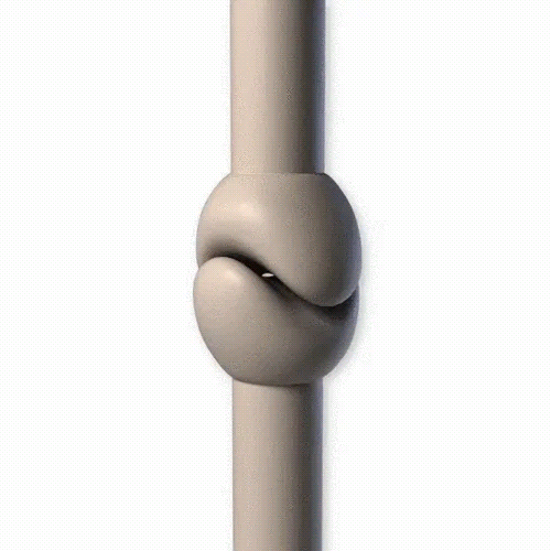 What are the differences between a wrist, hand, finger, and finger