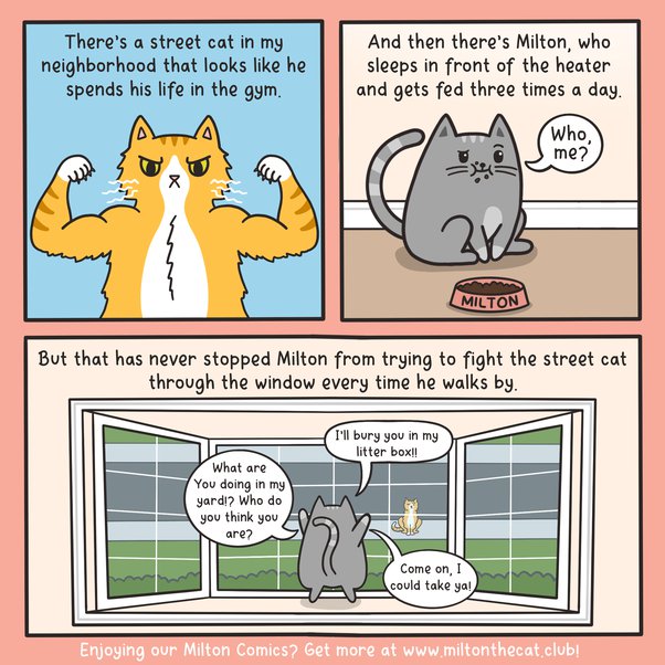 Our inside cat gets upset and cries when there are strays outside. We