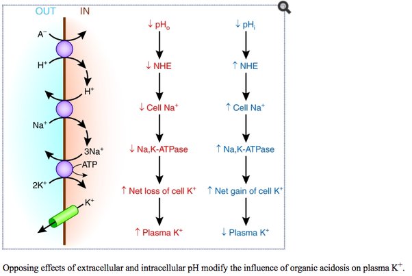 How does diabetic ketoacidosis cause vomiting? Quora
