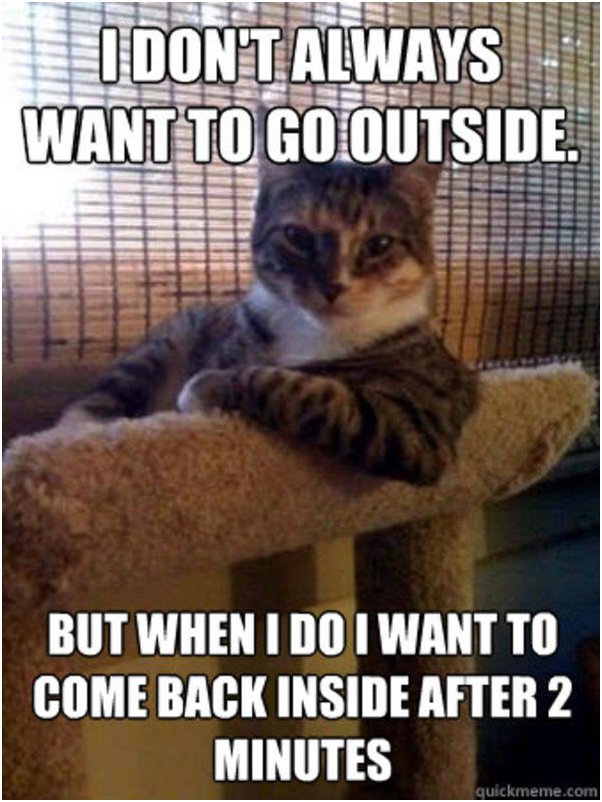 The second I go into my room and close the door, my cat starts meowing