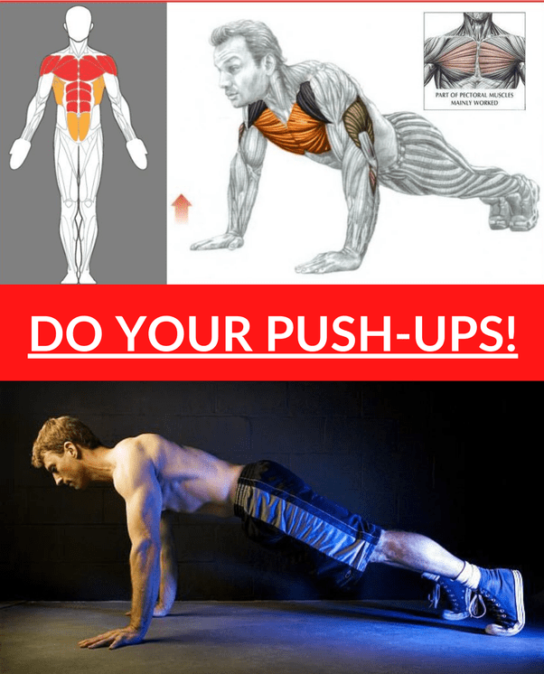How To Do Push Ups And What Muscles Do They Work? Gymless, 48 OFF
