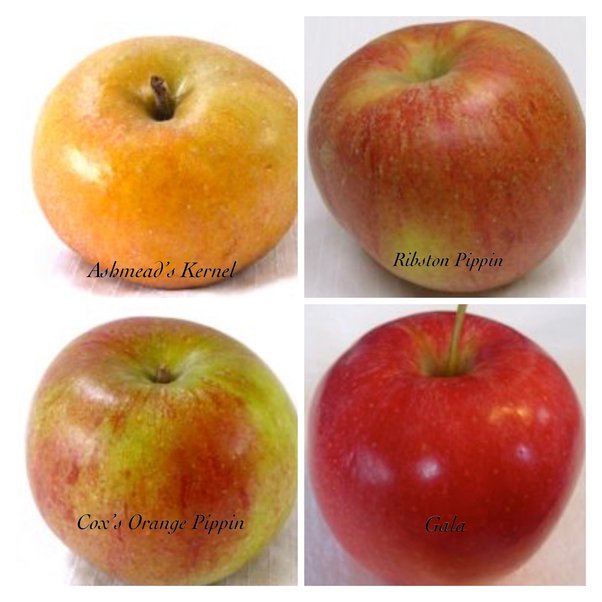 The ratio of apples to oranges is 58, when 15 apples are taken away