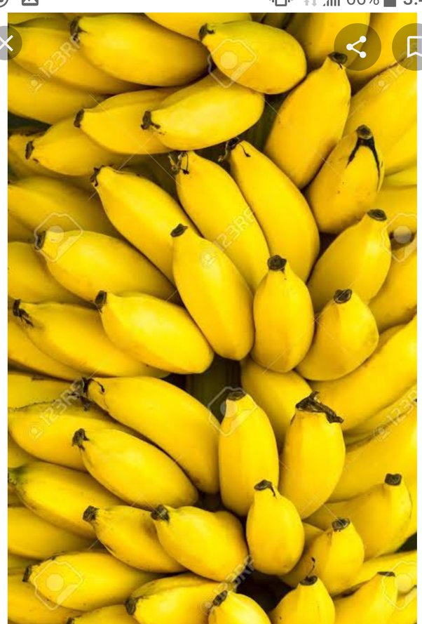 What is the difference between green and yellow bananas? Are they