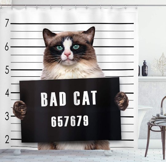 Why do cats like to sadistically torture other animals? Quora