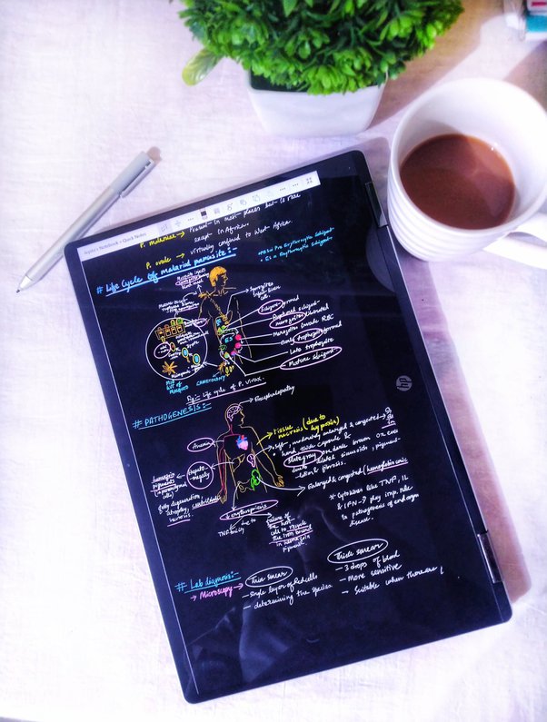 What are the differences between an iPad and a Samsung Galaxy Tab