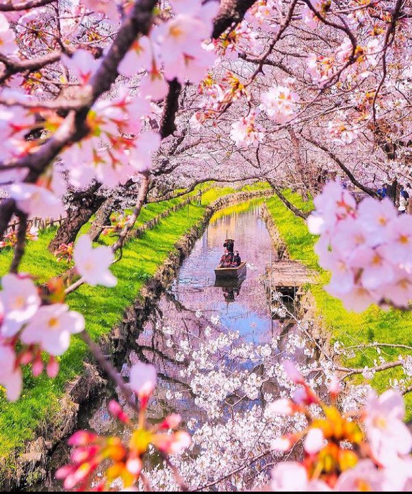 What is the most beautiful season, and why? Quora