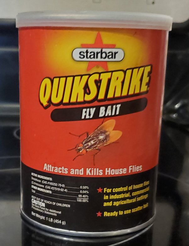 How to get rid of flies without using vinegar Quora