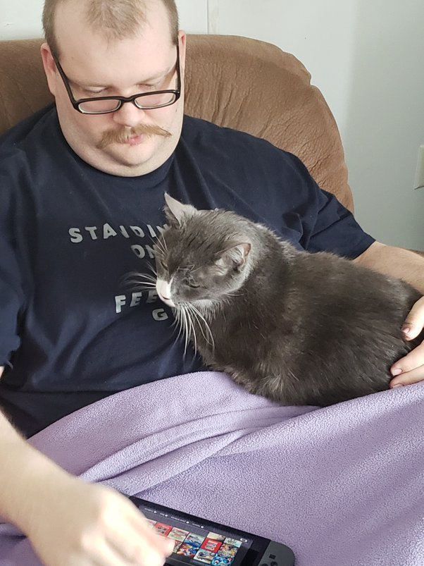 Why is my older cat not interested in food anymore, even when hungry