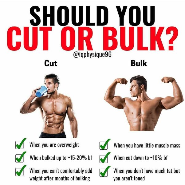 Bulk Up Before And After
