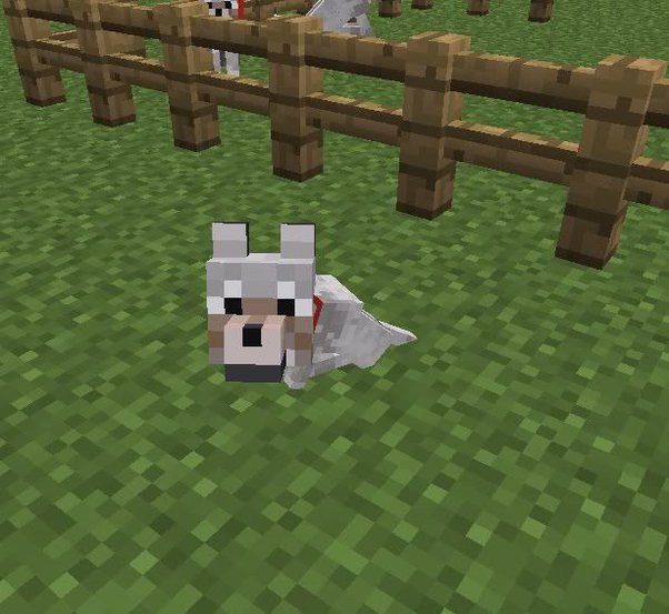 How to speed up time in Minecraft Quora