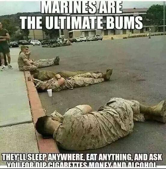 What is the relationship between U.S. Marines and U.S. Army soldiers
