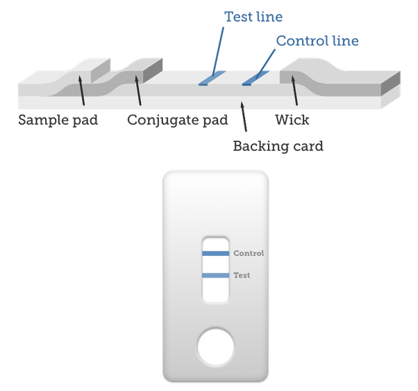 What is the difference between a 4th generation laboratory HIV test and