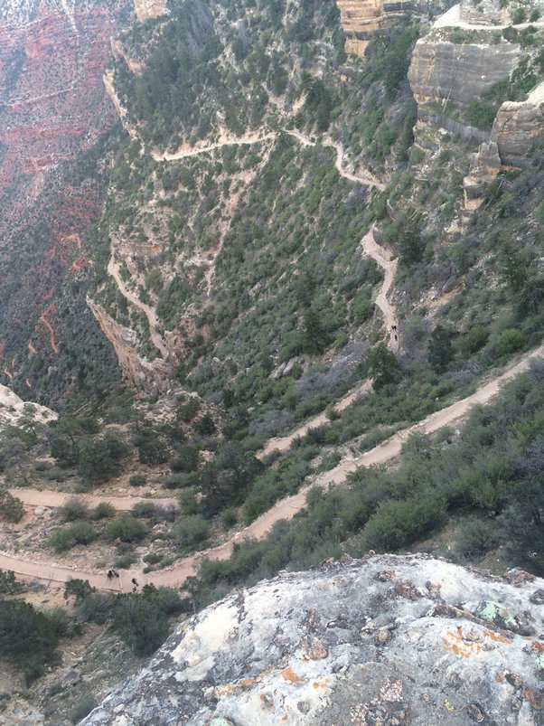 How to avoid getting altitude sickness when visiting the Grand Canyon