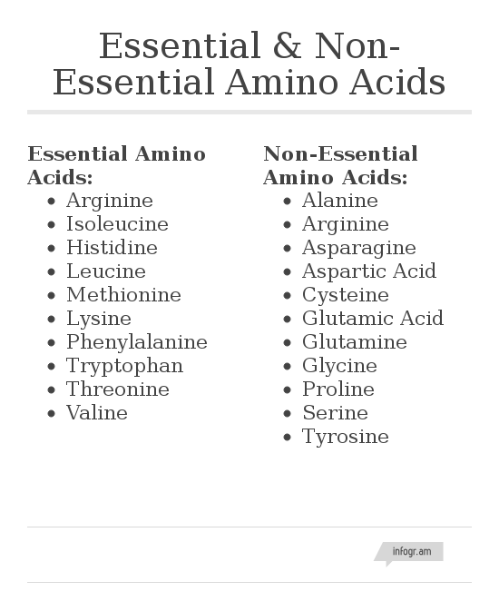 Explain the Difference Between Essential and Nonessential Amino Acids