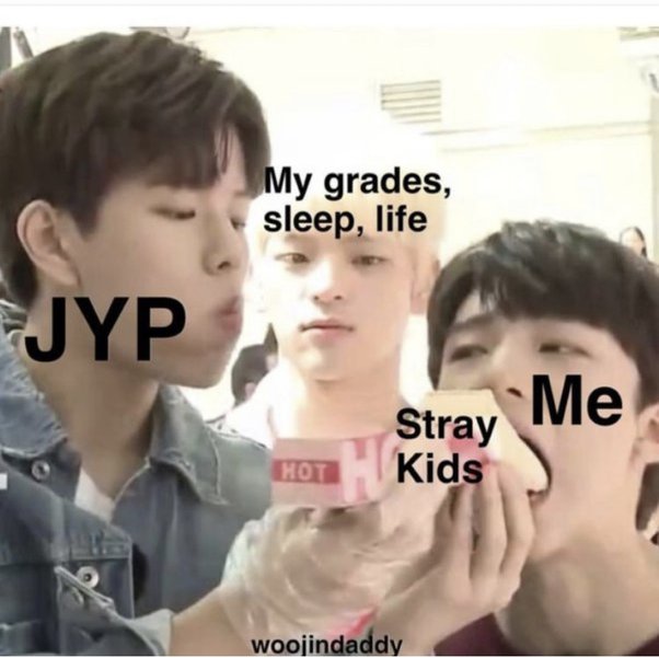 Can anyone post any stray kids memes you might have? I'm bored Stray(028)
