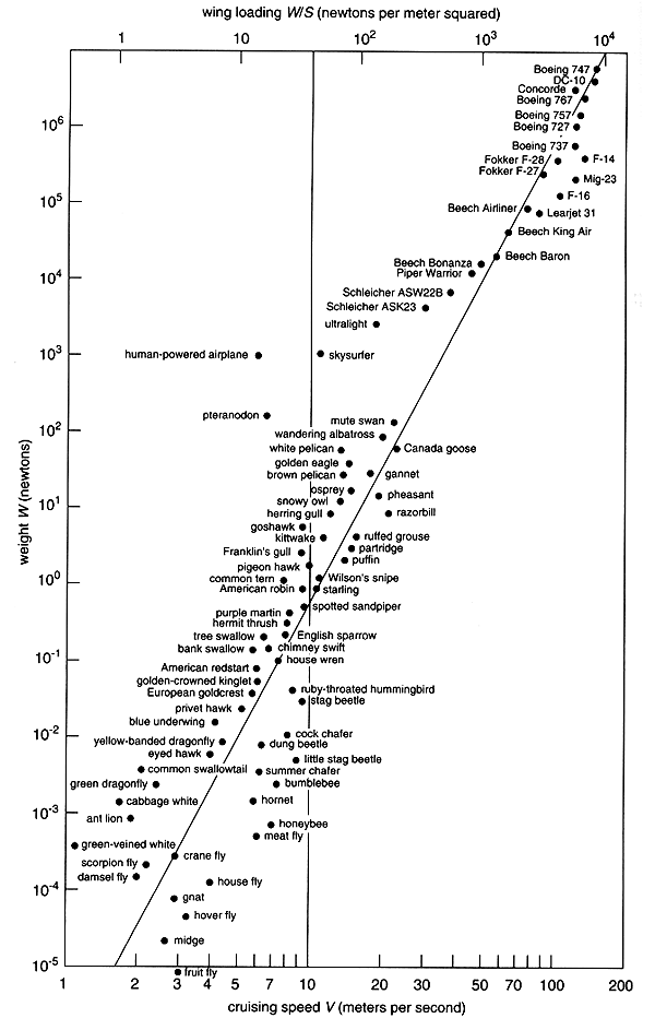 Why do airplanes go so fast? Quora
