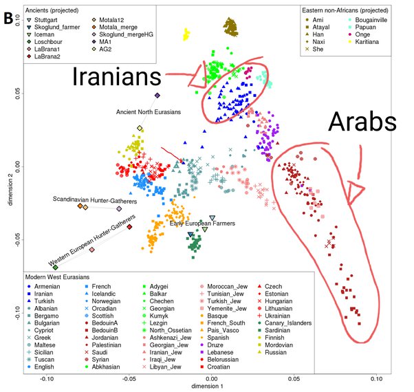 What does “nonsemitic” mean? Quora