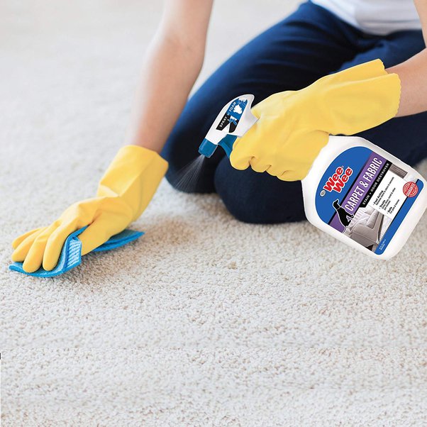 How to remove a urine stain from a couch seat with a cushion that is