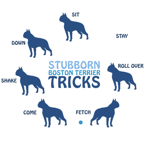 Are Petsmart Dog Trainers Certified