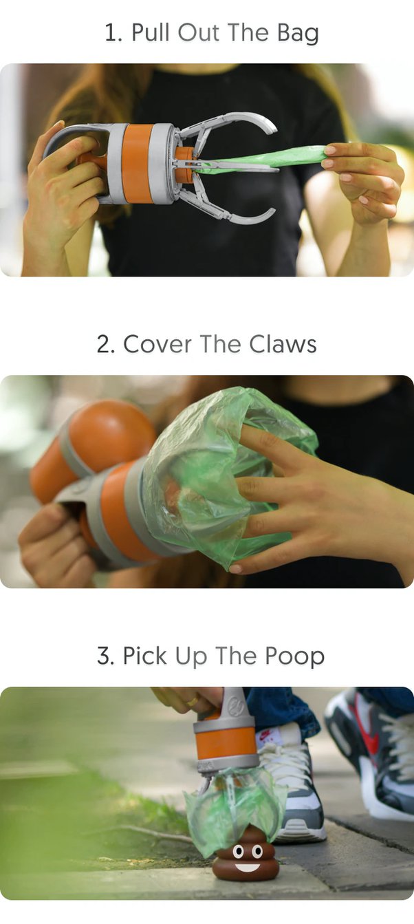 What's the best way to clean dog poop off the carpet? Quora