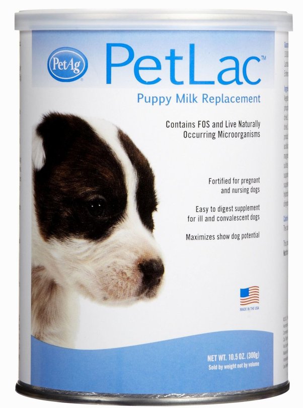 What Should I Feed My Nursing Dog